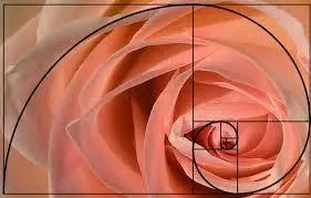 La belleza de las proporciones áureas.