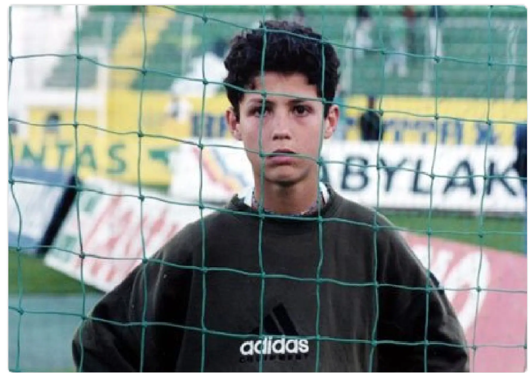 adidas adidas