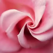 fibonacci