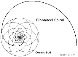 Fibonachi