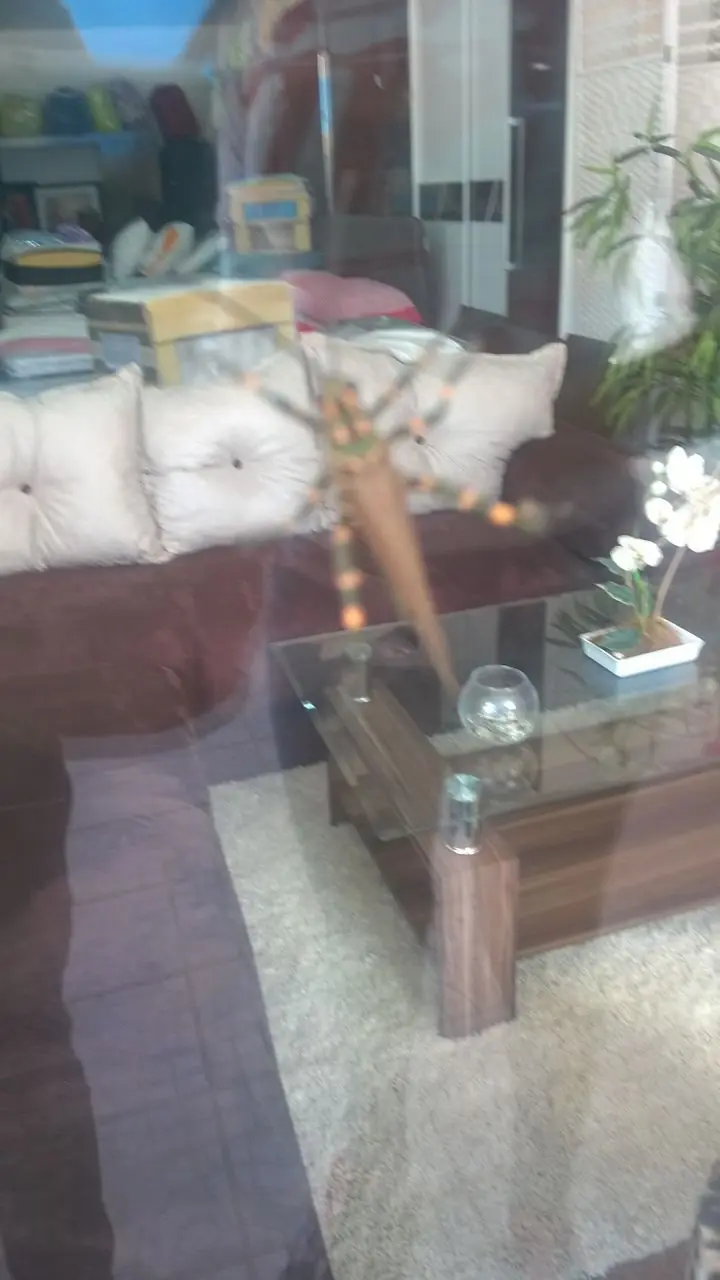 Encontre una langosta verde arboricola y te lo muestro[fotos