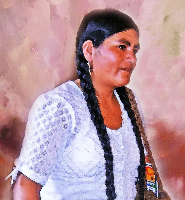 mapuches