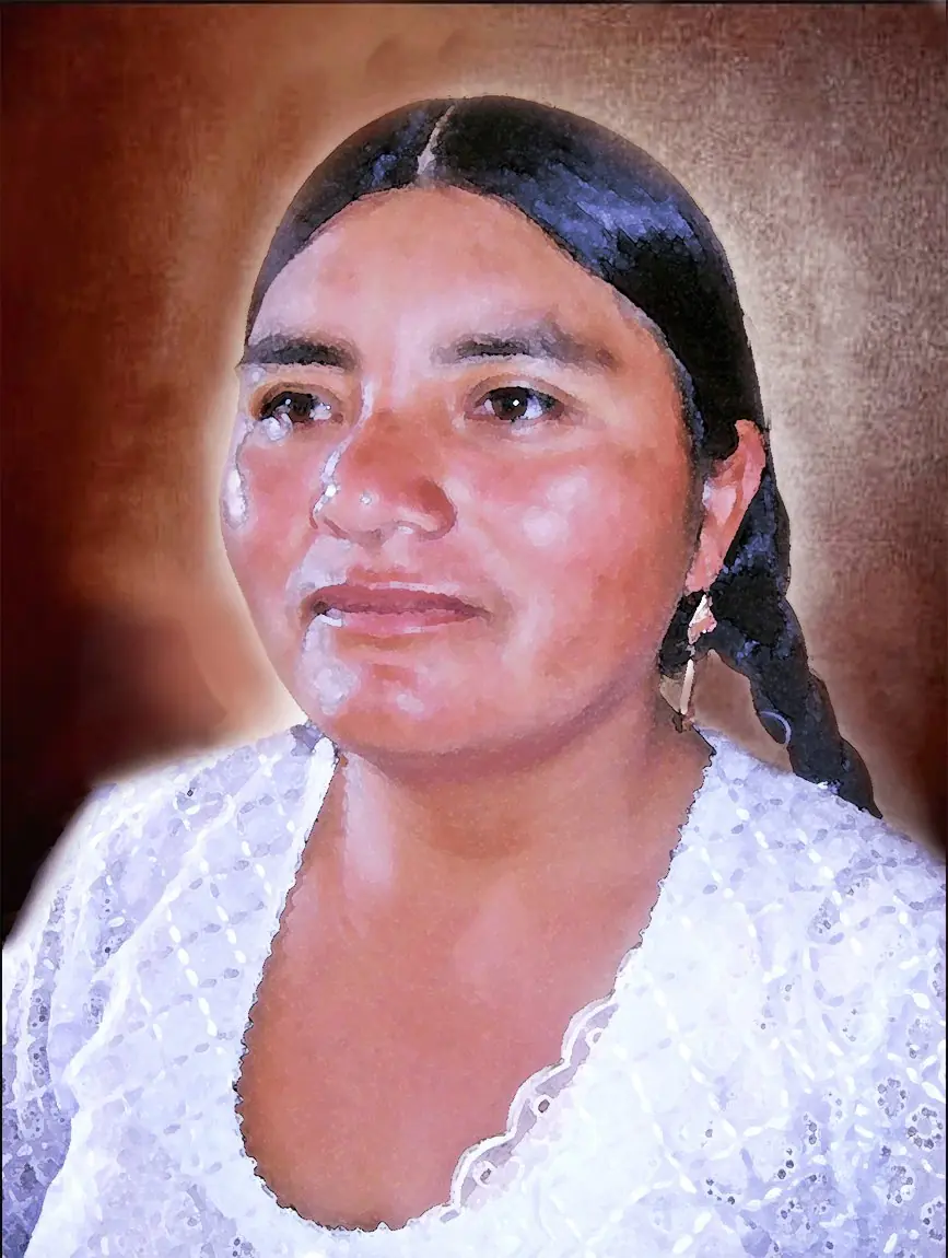 pueblos originarios