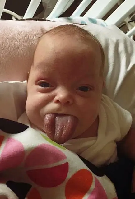 bebe