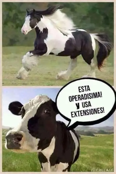 Compilado de humor