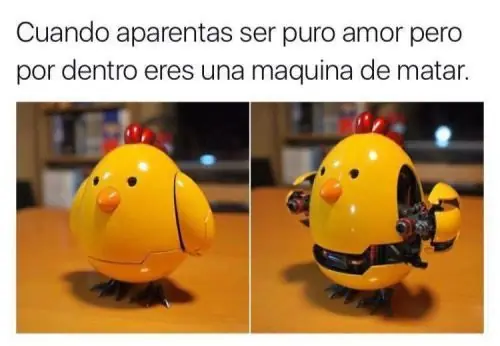Imagen