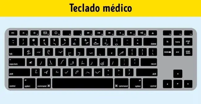 Paralamuchachada