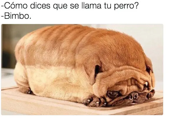 podras