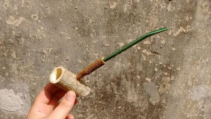 pipa