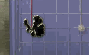 Terminatrix