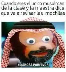 gatos