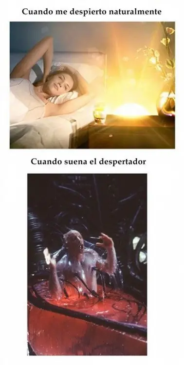 cuanto cabron