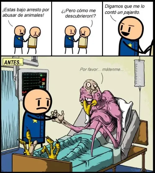 memes