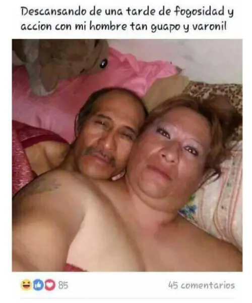 perros