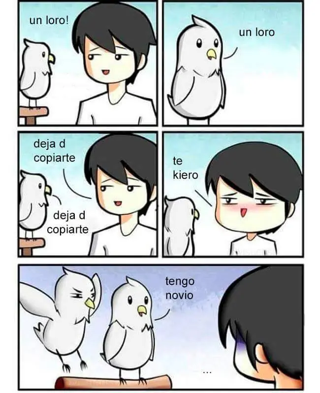 perros