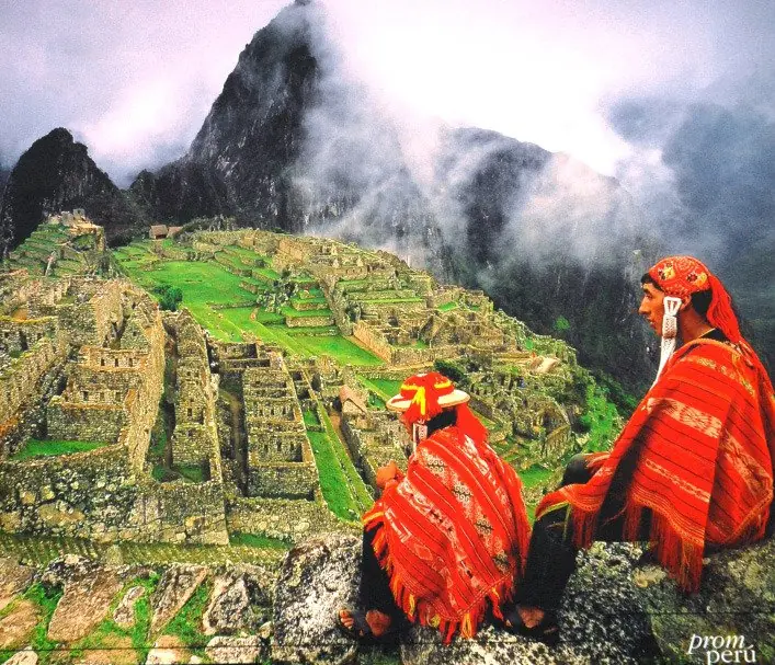 perueduca