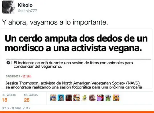 Compilado del humor nocturno