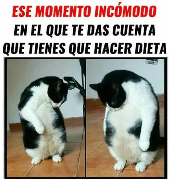 humor