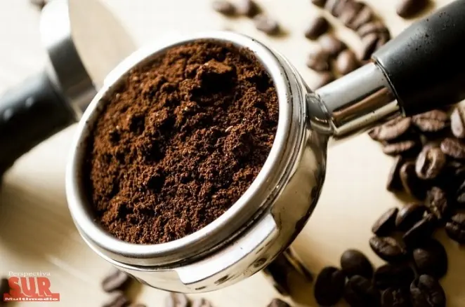 Curiosidades sobre el café