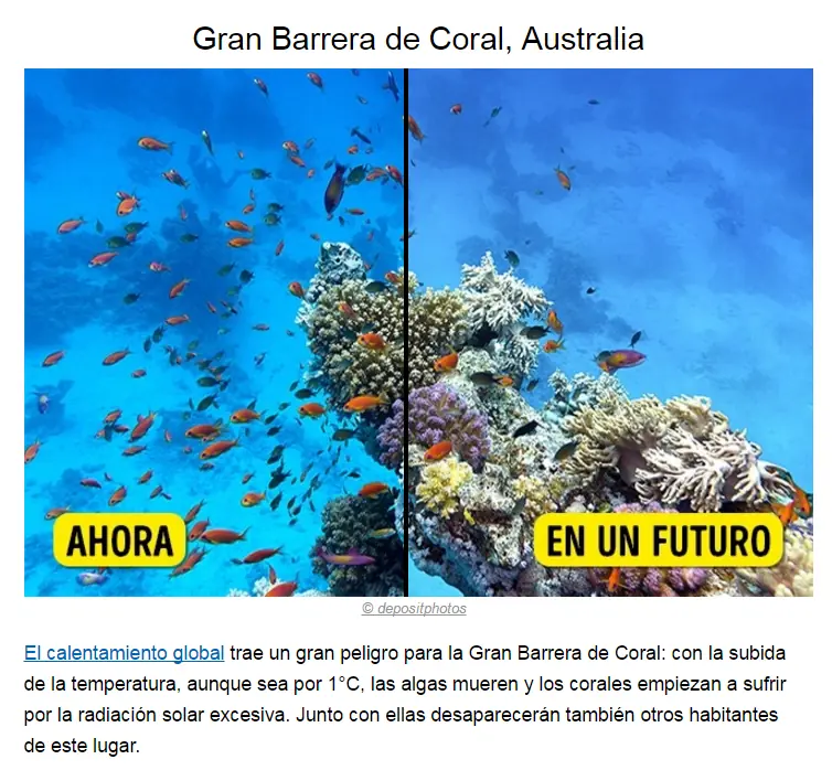 vida