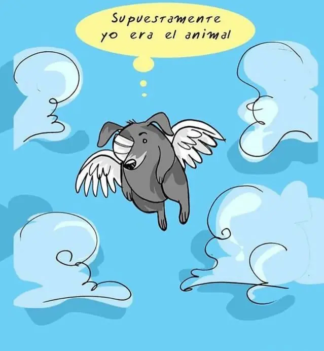perro perro