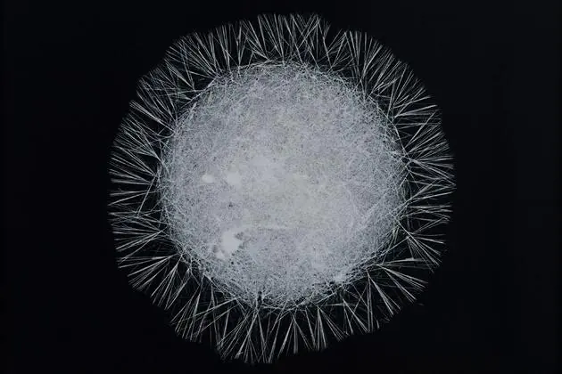 bebida energetica