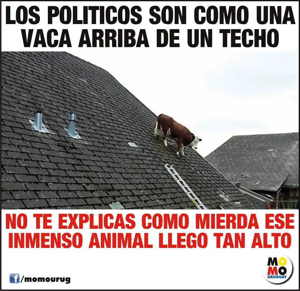 jajaja