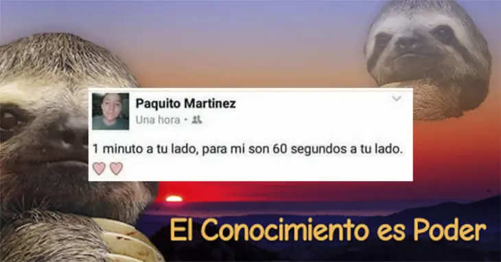 vender