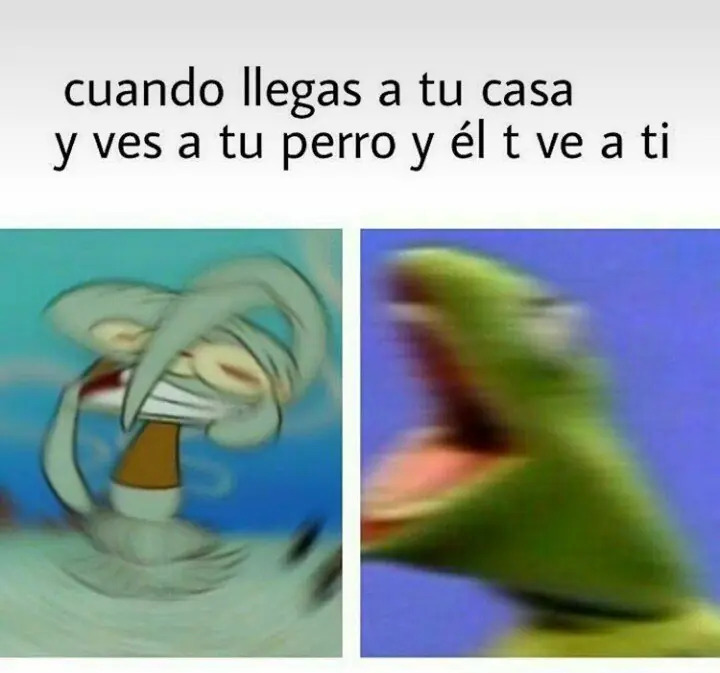 Entrá y cambiá esa cara de ogt! [Parte 2]