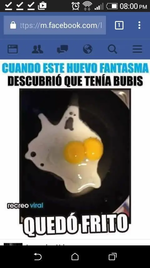 fotos