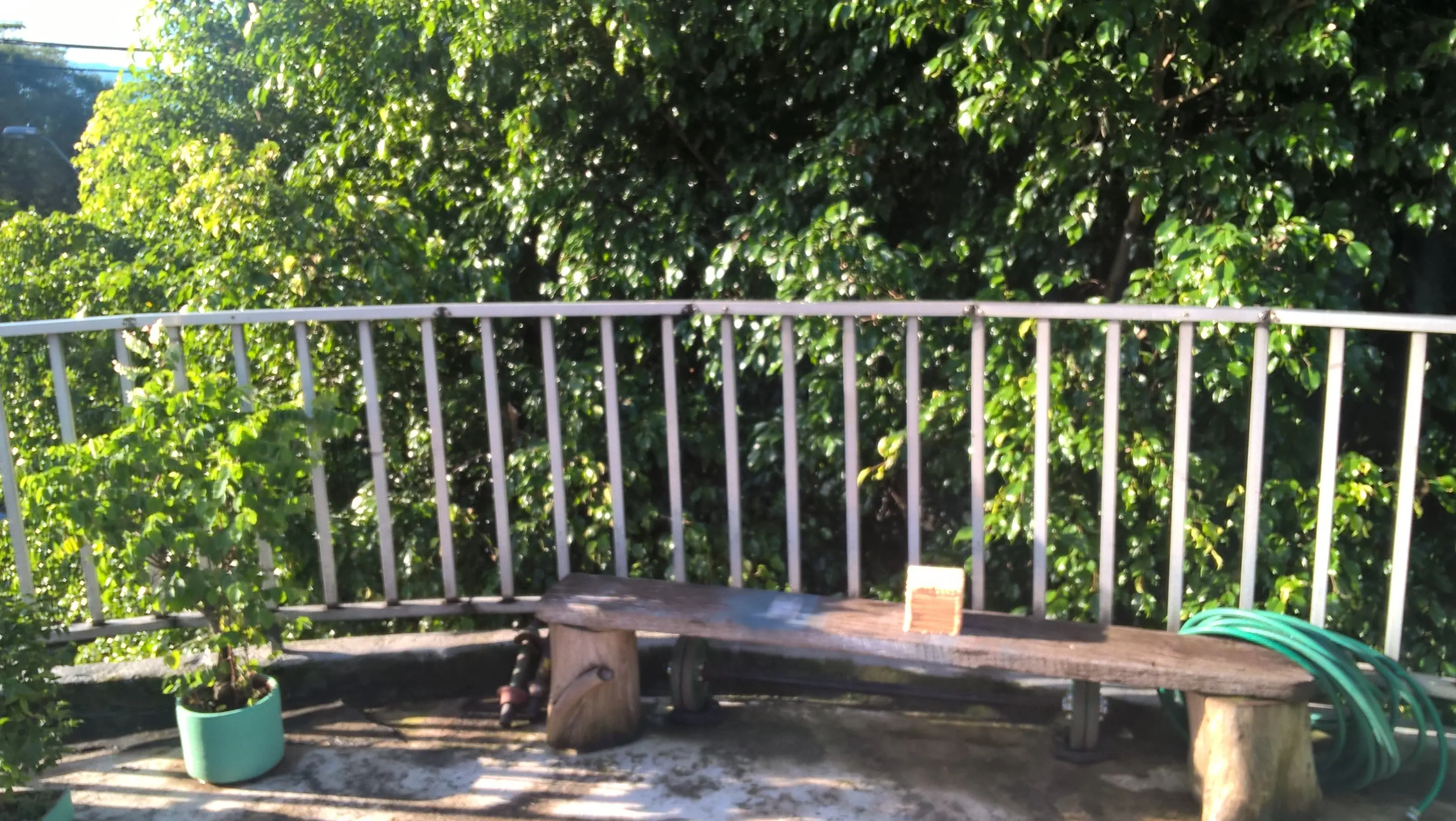palos de madera palos de madera