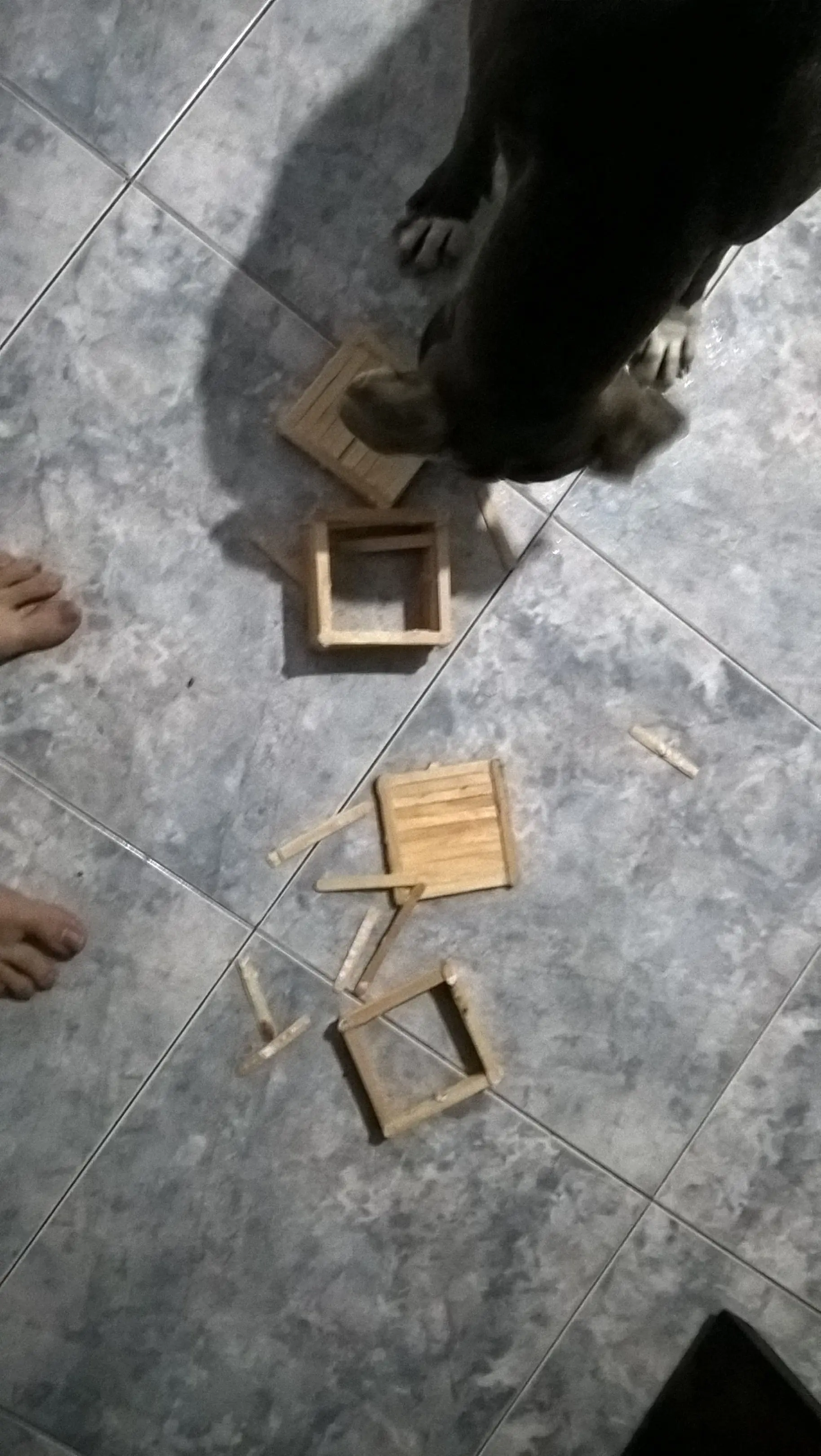 inteligencia colectiva