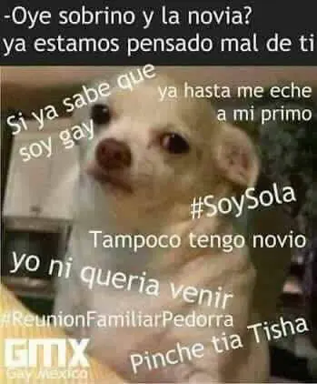 imagenes