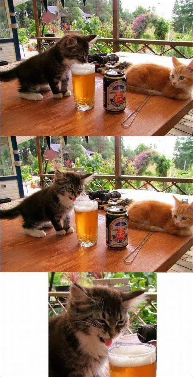 humor