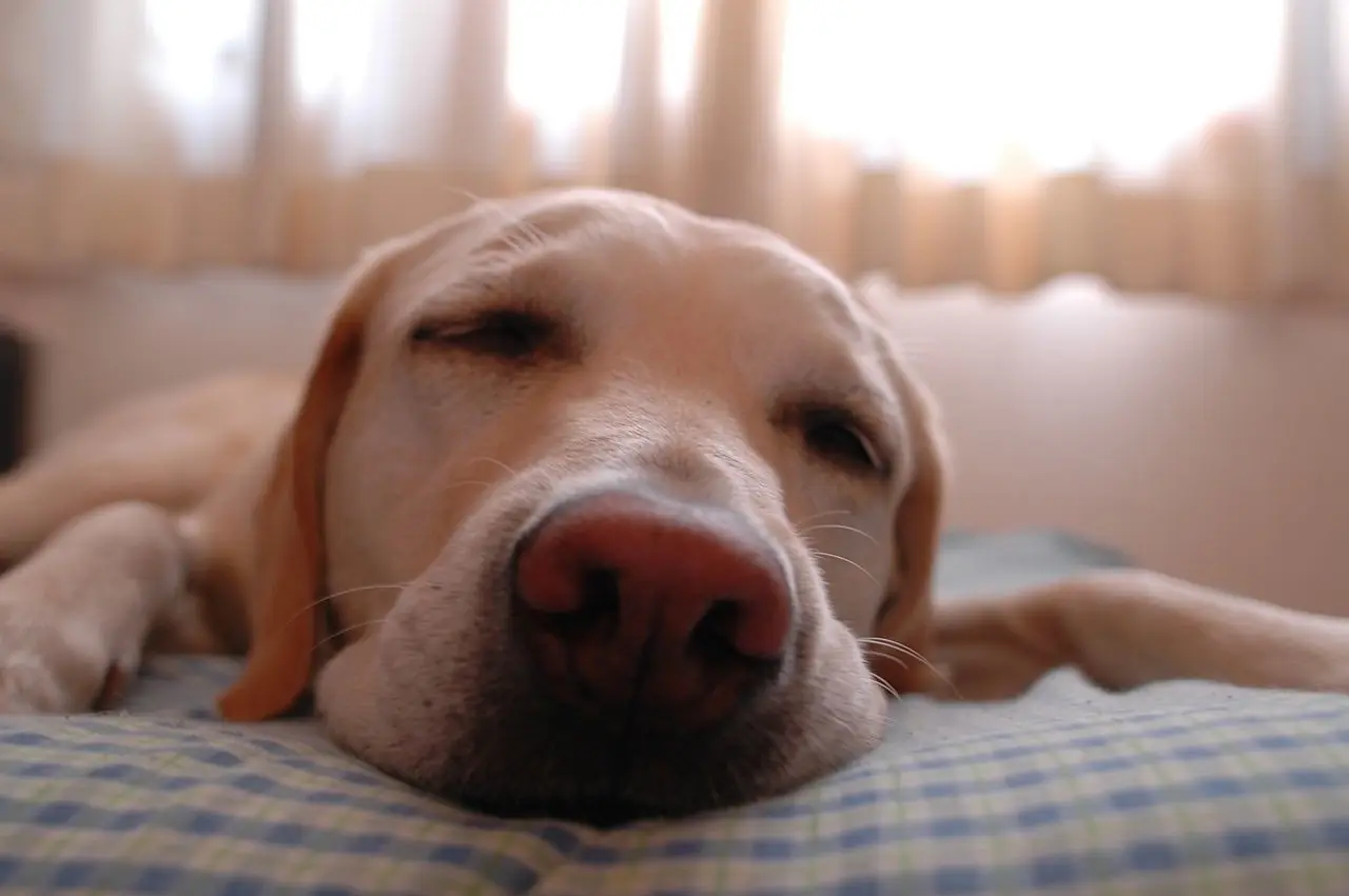 Cómo dormir cuando hace mucho calor