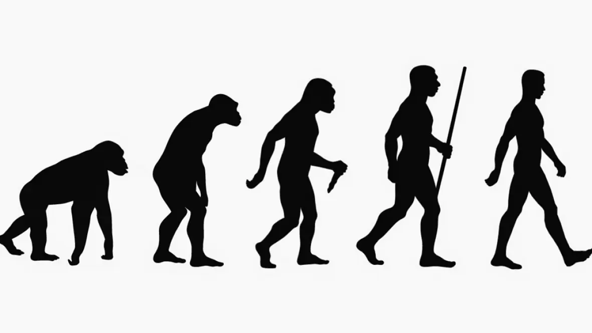 ¿Todo término que conocemos es relativo?