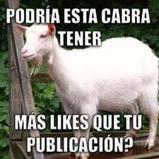 gracioso