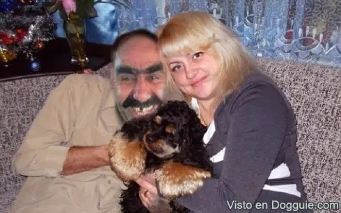 Imagenes