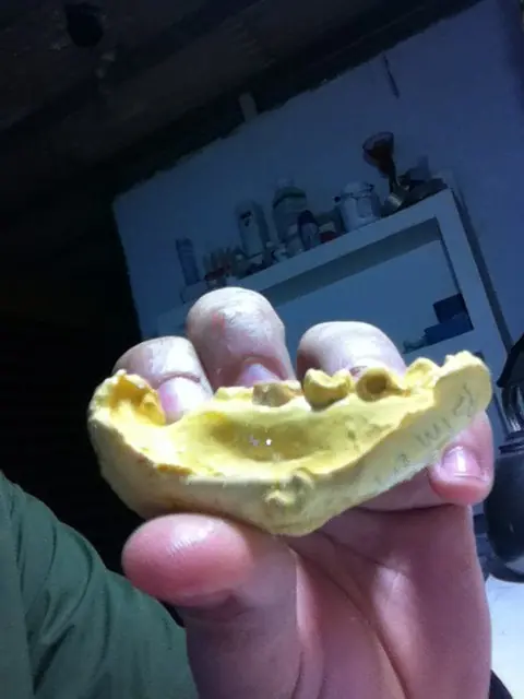 coronas