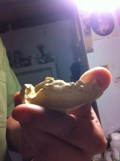 Pasate y mira como se hace un provisorio