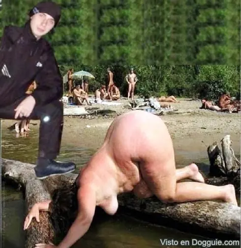 Imagenes