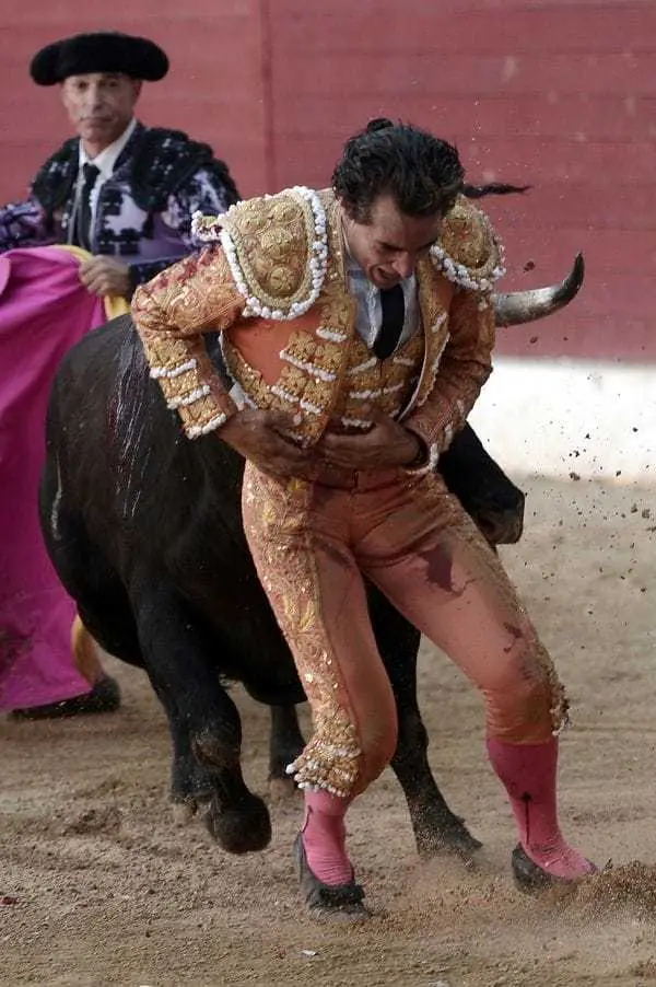 gano el toro