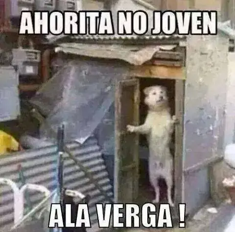 gracioso