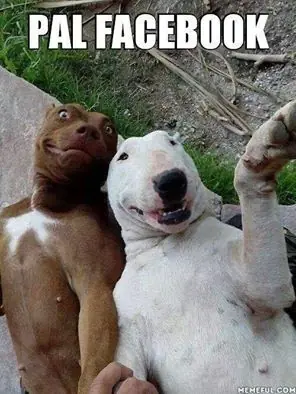 fotos graciosas