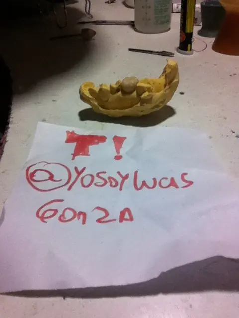 coronas