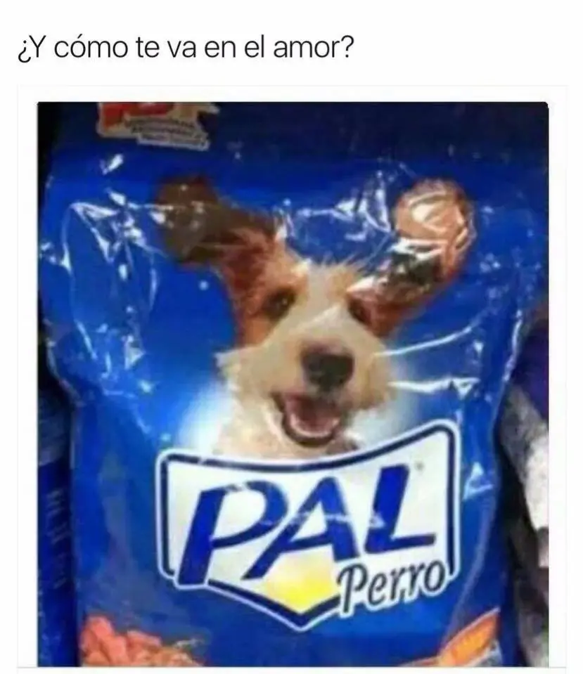 humor