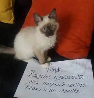tuvieron que trabajar