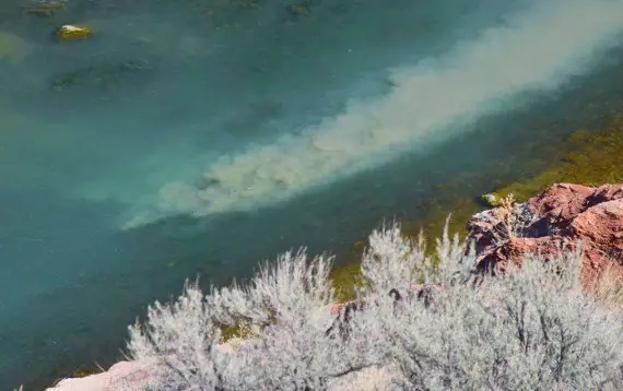 Algo realmente terrible está ocurriendo en Yellowstone
