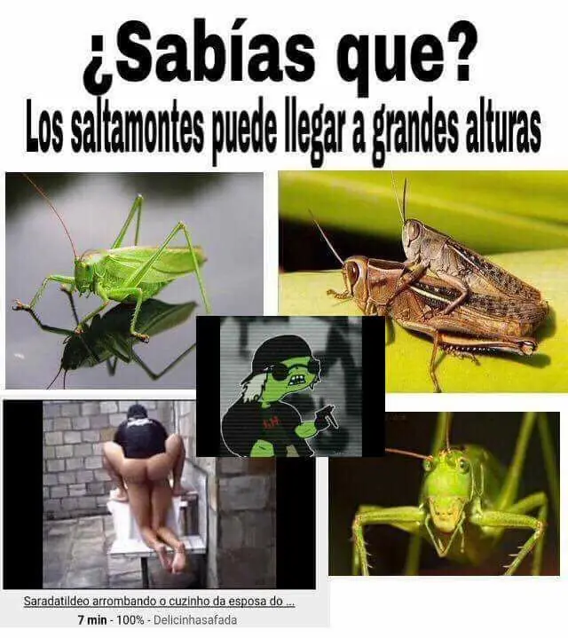 humor