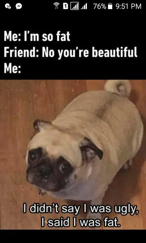 memes
